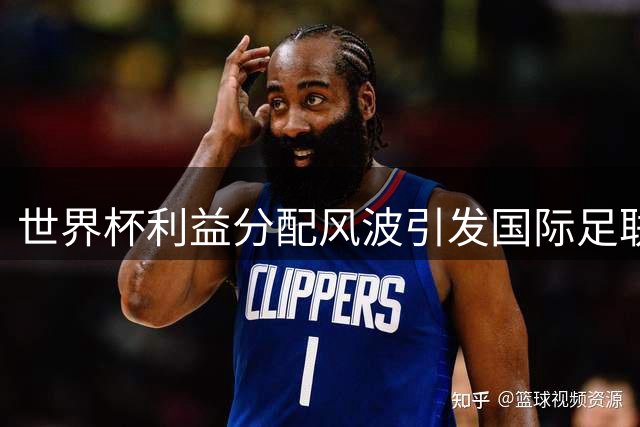 世界杯利益分配风波引发国际足联领导层震动