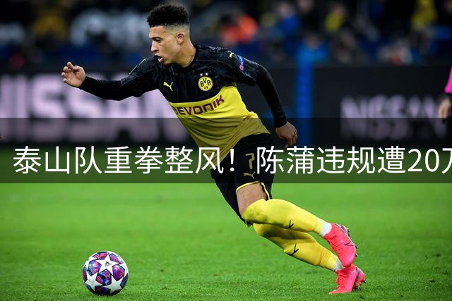 泰山队重拳整风！陈蒲违规遭20万顶格处罚 唐田带队开启魔鬼训练