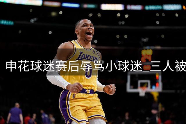 申花球迷赛后辱骂小球迷 三人被依法拘留